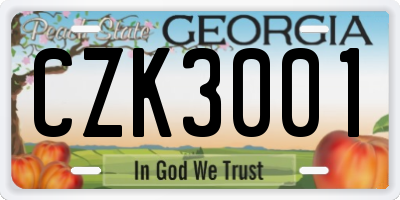 GA license plate CZK3001