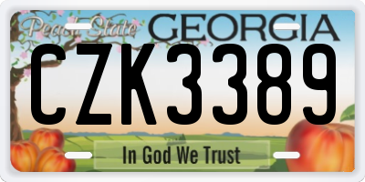 GA license plate CZK3389