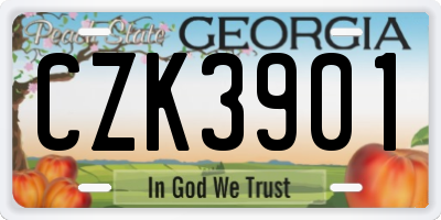 GA license plate CZK3901