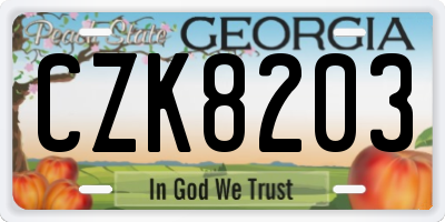 GA license plate CZK8203