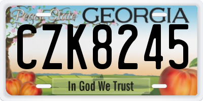GA license plate CZK8245
