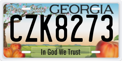 GA license plate CZK8273
