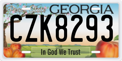 GA license plate CZK8293