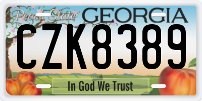 GA license plate CZK8389