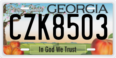GA license plate CZK8503