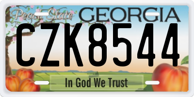 GA license plate CZK8544