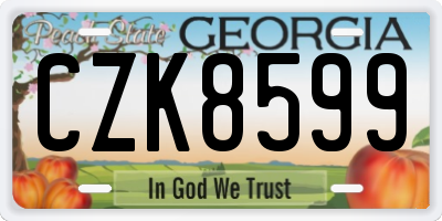 GA license plate CZK8599