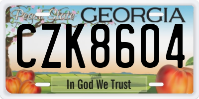 GA license plate CZK8604