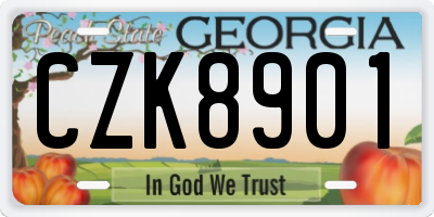 GA license plate CZK8901