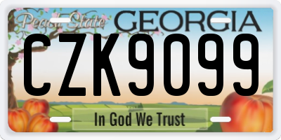 GA license plate CZK9099
