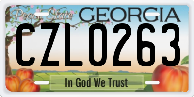 GA license plate CZL0263