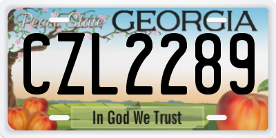 GA license plate CZL2289