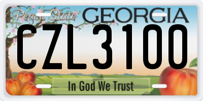 GA license plate CZL3100
