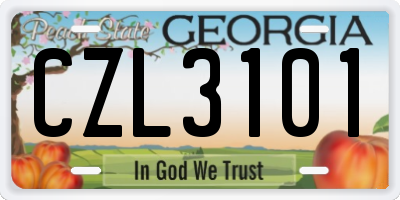 GA license plate CZL3101