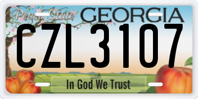 GA license plate CZL3107