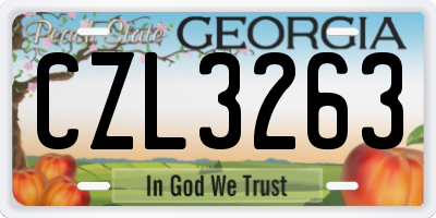 GA license plate CZL3263