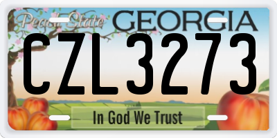 GA license plate CZL3273