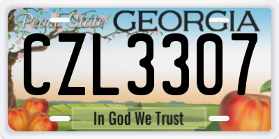 GA license plate CZL3307