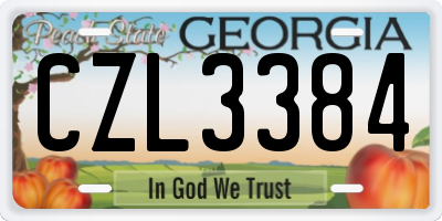 GA license plate CZL3384