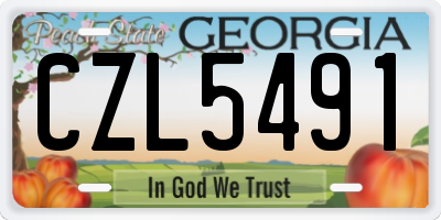 GA license plate CZL5491