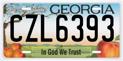 GA license plate CZL6393