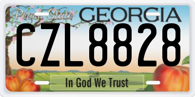 GA license plate CZL8828