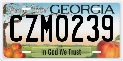 GA license plate CZM0239