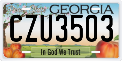 GA license plate CZU3503