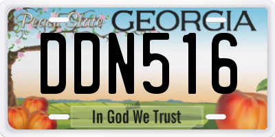GA license plate DDN516