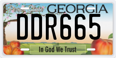 GA license plate DDR665