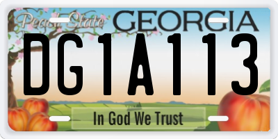 GA license plate DG1A113