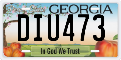 GA license plate DIU473