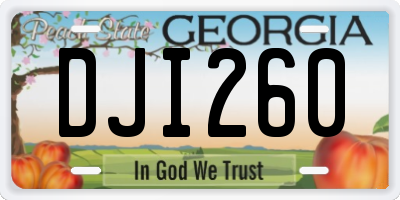 GA license plate DJI260