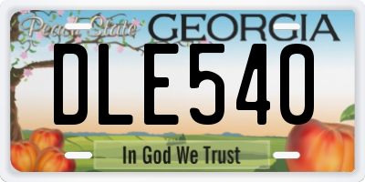 GA license plate DLE540