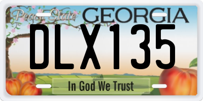 GA license plate DLX135