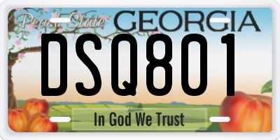 GA license plate DSQ801