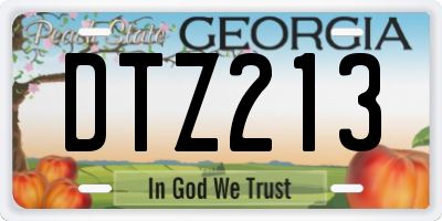 GA license plate DTZ213