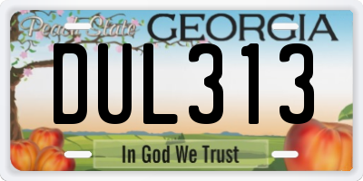 GA license plate DUL313