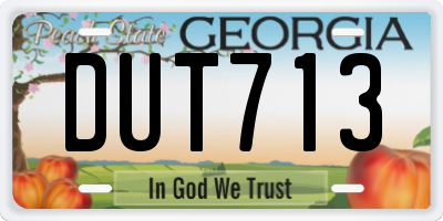 GA license plate DUT713