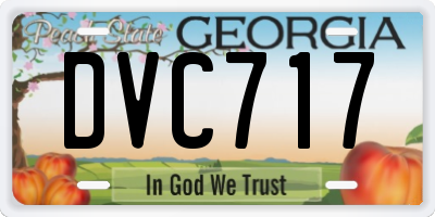 GA license plate DVC717