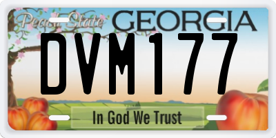 GA license plate DVM177