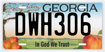 GA license plate DWH306