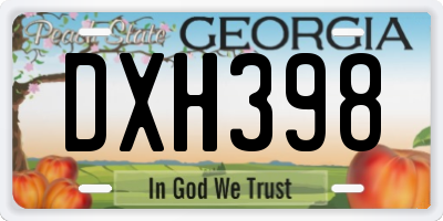 GA license plate DXH398