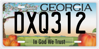 GA license plate DXQ312