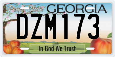 GA license plate DZM173