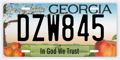 GA license plate DZW845