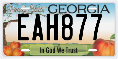 GA license plate EAH877