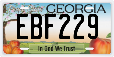 GA license plate EBF229