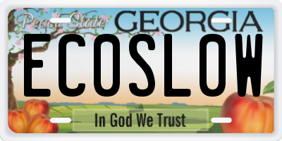 GA license plate EC0SL0W