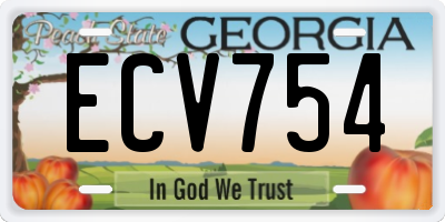 GA license plate ECV754